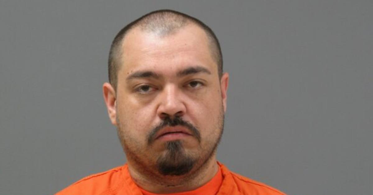 Charges Convicted felon stabs girlfriend 36 times while fleeing police