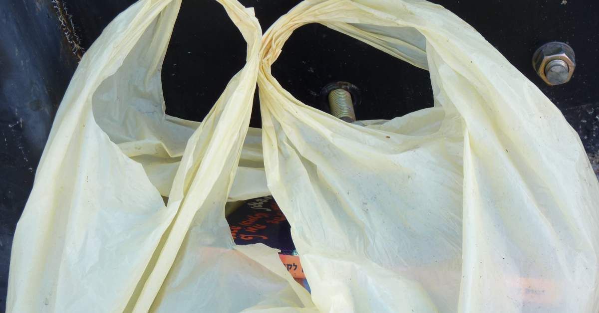 Edina City Council approves 5cent plastic bag fee Bring Me The News