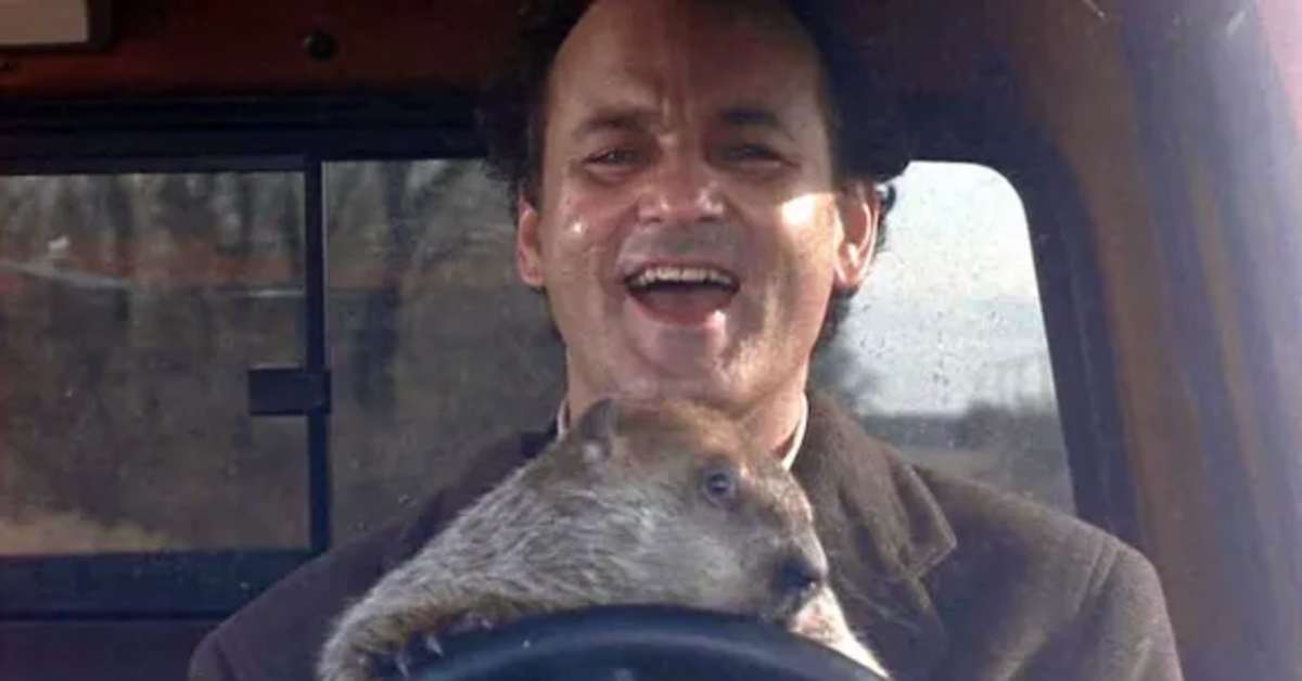 groundhog day 2025 minnesota