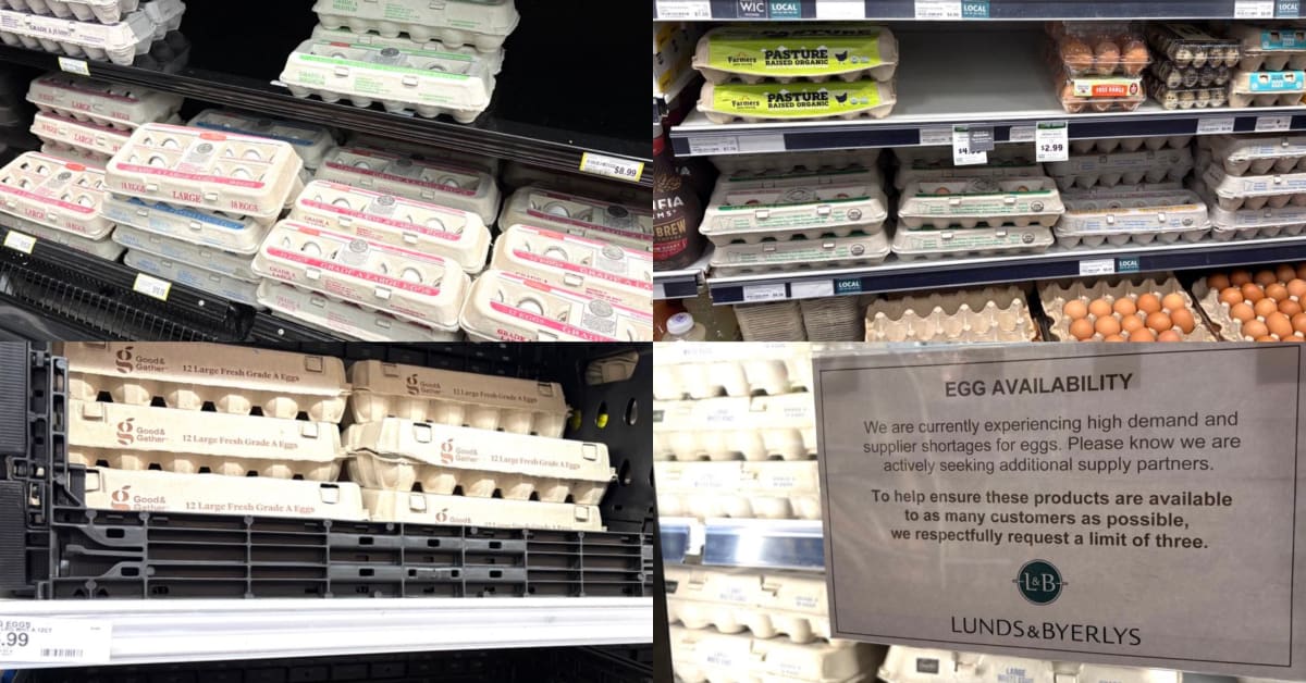 Egg prices near me: Egg costs in Louisville continue to fall