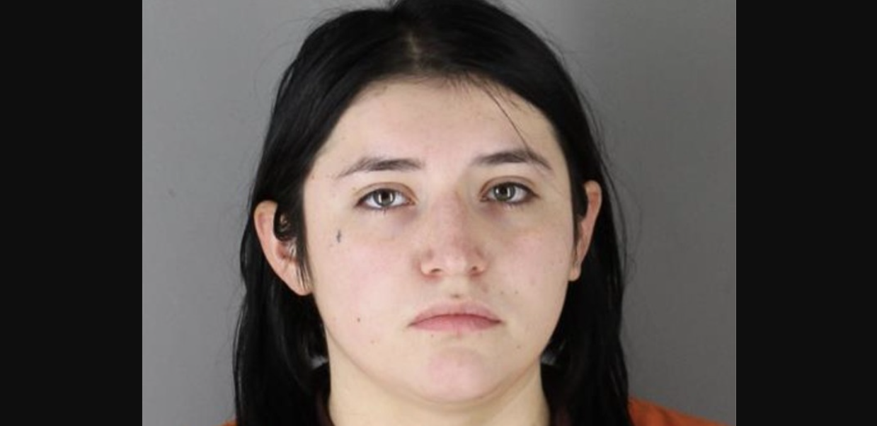 Charges: Mother drowned baby in Bloomington hotel bathtub; body still ...