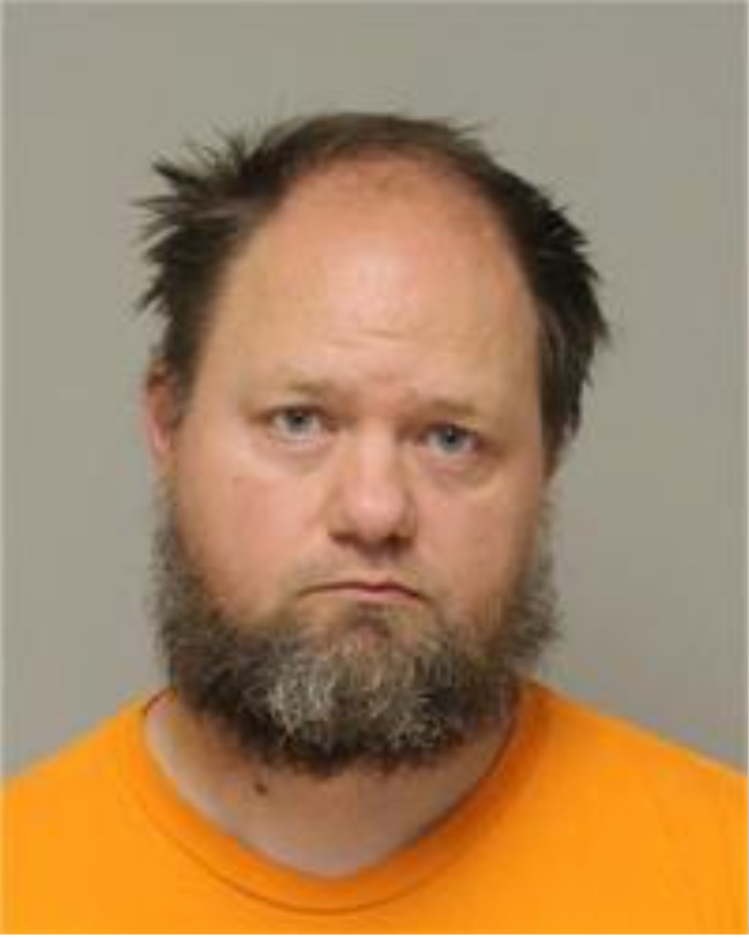 Coon Rapids man charged with nine felony counts of possession of child ...