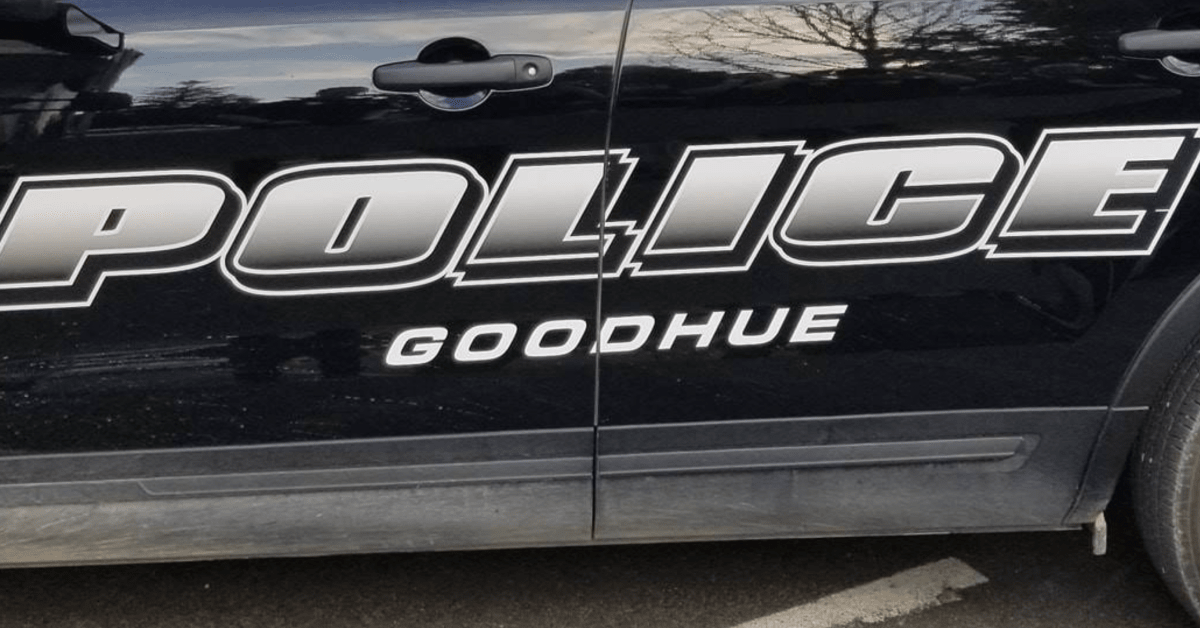 Goodhue police chief, multiple officers resign - Bring Me The News