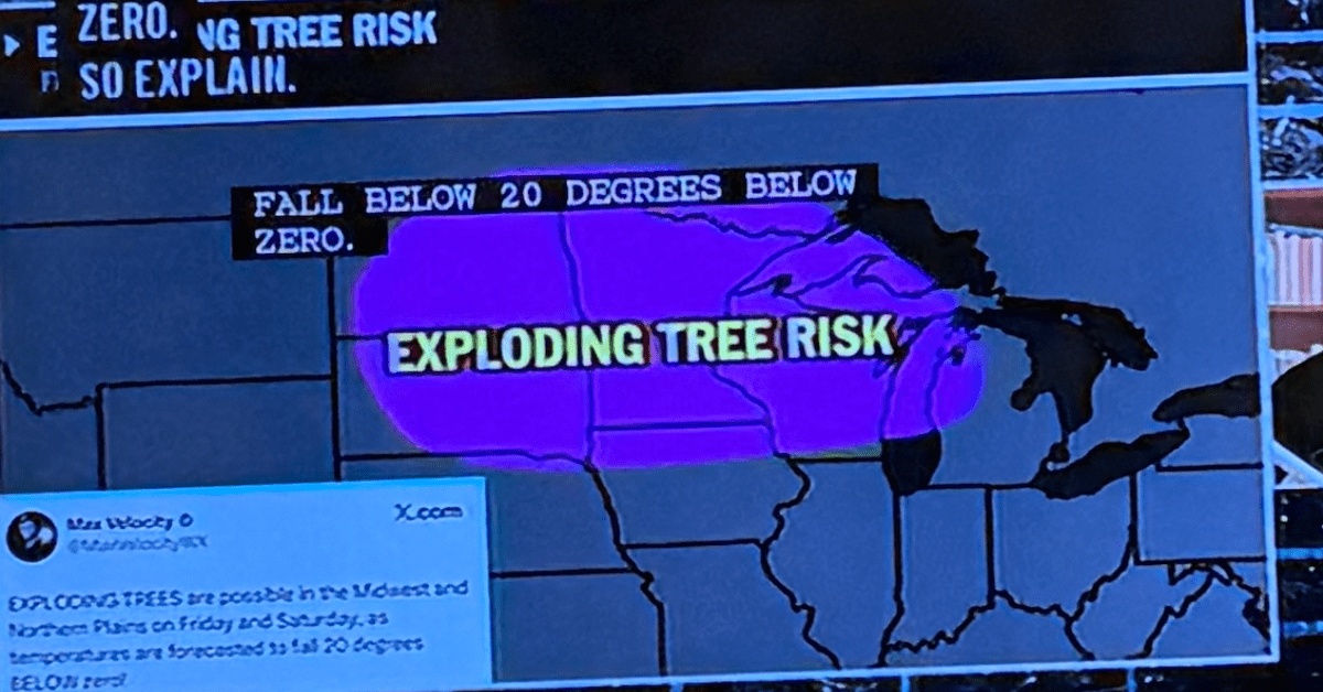 Minnesota's latest viral weather panic: Exploding trees - Bring Me The News