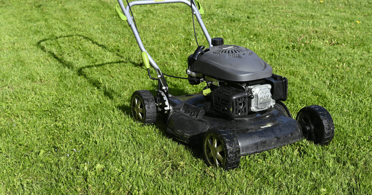 Newton electric top lawn mower