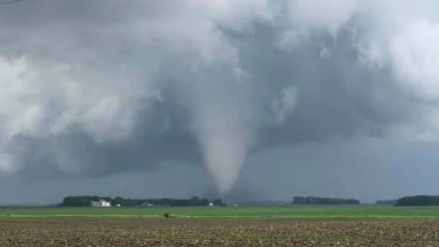 Video: The tornado that tore through Scandia, and the dog that