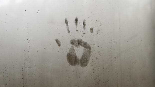handprint-4671386_1280