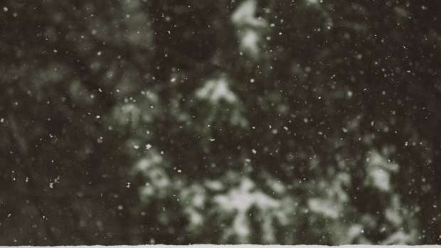 snowfall snow flakes unsplash