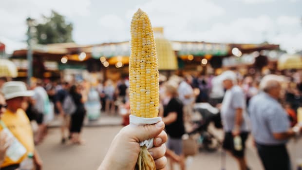 Minnesota State Fair - corn foreground image