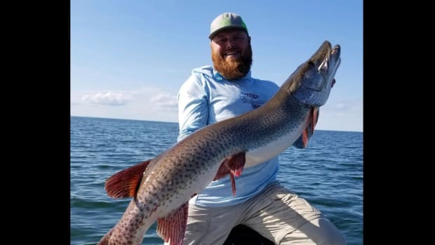 VIDEO: Giant muskie, keeper walleye caught on same lure at same time -  Duluth News Tribune
