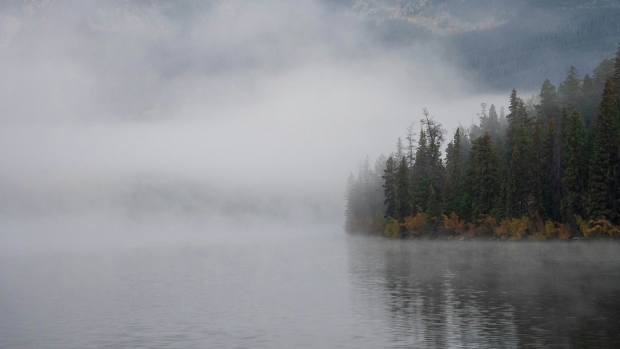 Fog weather