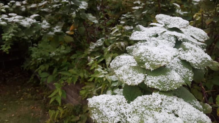 Sign of the times: Snow fell in Minnesota Tuesday morning