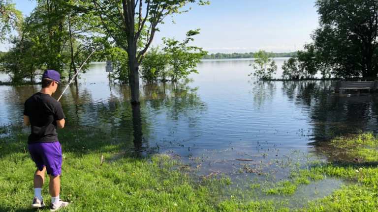 Video: Flooding at Lake Nokomis pushes fish onto running path