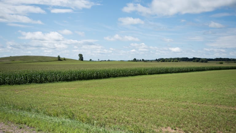 Minnesota farmer charged with $46M organic grain sales fraud