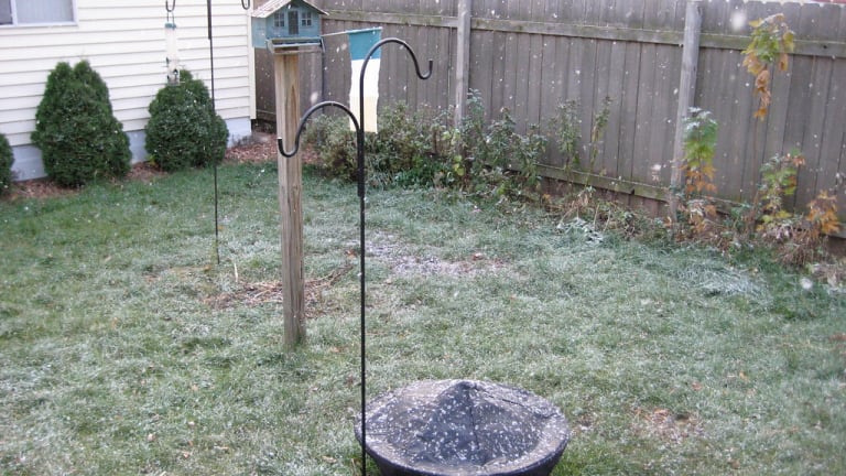 Any sign of snow in the forecast for Minnesota?