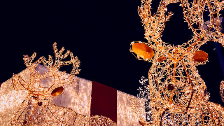 Holiday lights festival returning to Minnesota State Fairgrounds – but this time you walk