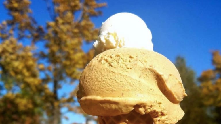 Best Ice Cream Shops in the Twin Cities, Minnesota