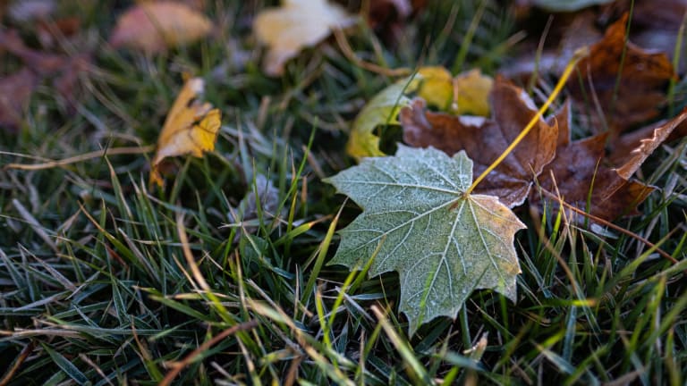 Minnesota gets its first frost advisories, freeze warnings of the season
