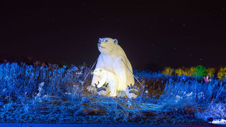 Giant, illuminated animals return to Minnesota Zoo this winter