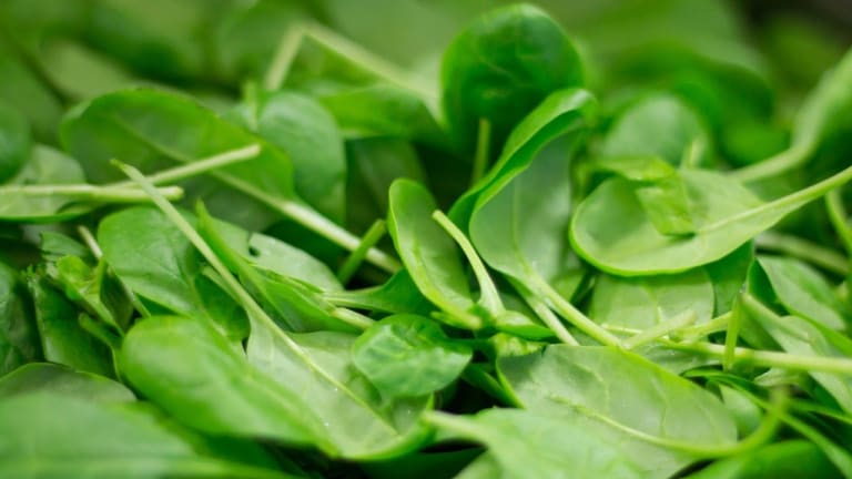 Two Minnesotans among those sickened in E. coli outbreak linked to spinach