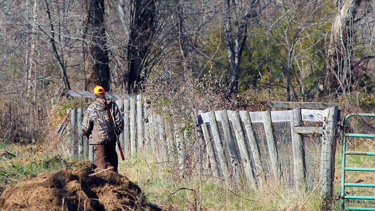 Man shot in group hunting accident in southern Minnesota