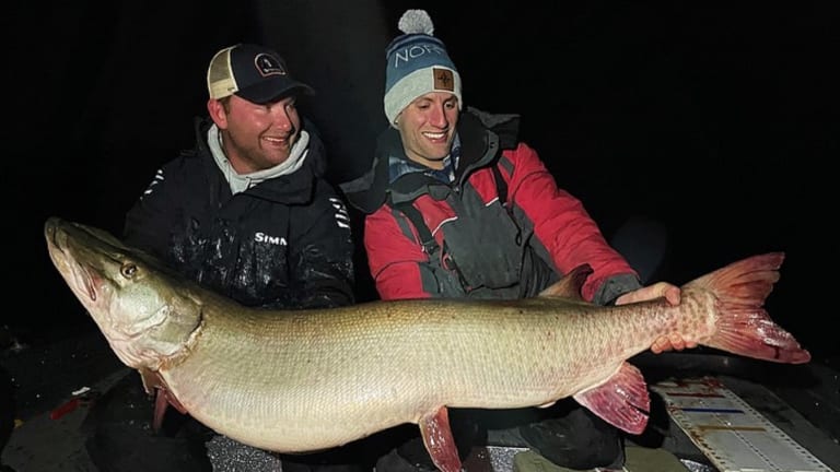 Angler officially breaks 64-year-old Minnesota muskie record