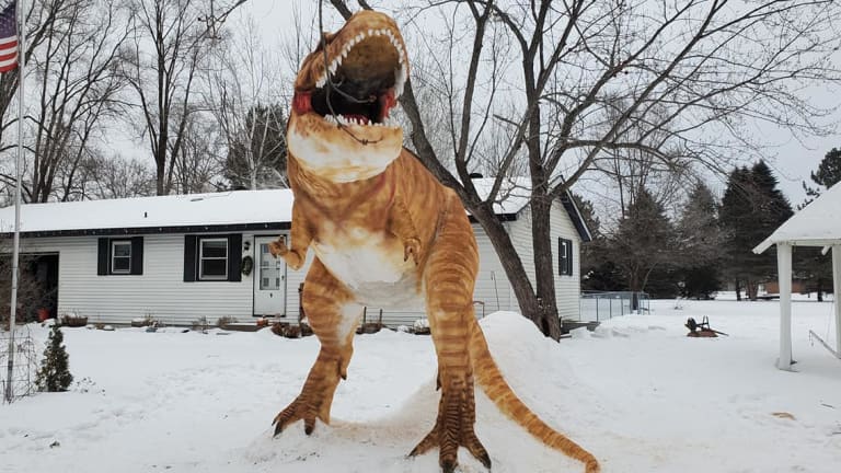 Minnesotan's giant T-rex snow sculpture wows visitors and passersby