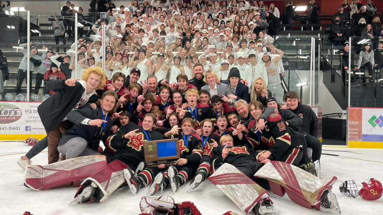 6 more schools advance to MN boys' state hockey tournament