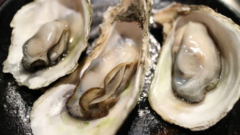 Norovirus outbreak linked to oysters served at Twin Cities restaurant sickens 29 Minnesotans