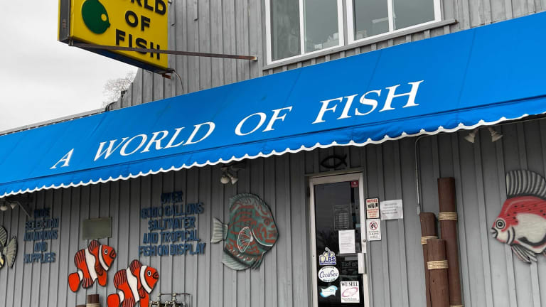 A World of Fish in Richfield closing after nearly 50 years in business