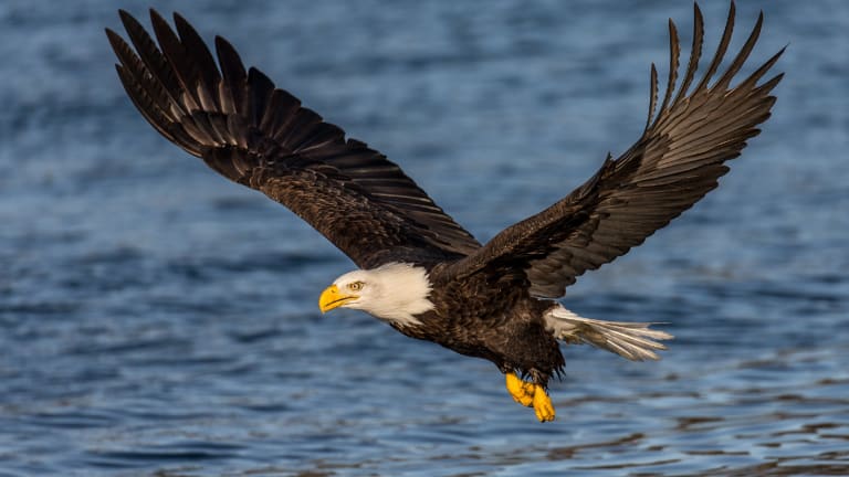 White Bear man's body found in Bald Eagle Lake, News