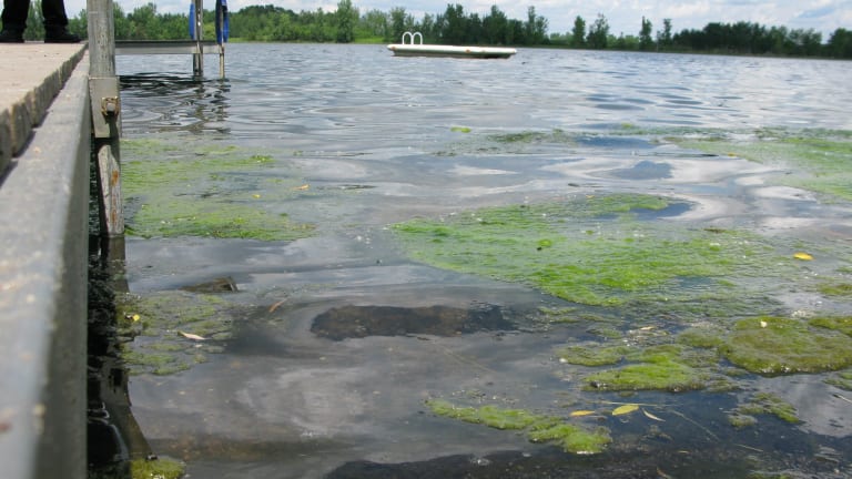 Green Stuff in the Water - Prairie Rivers of Iowa