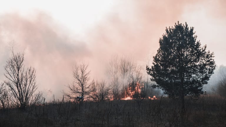 Dozens of wildfires reported across Minnesota amid continued dry conditions