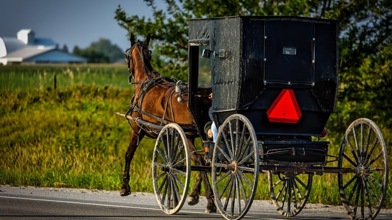 Two injured as driver crashes into Amish horse-drawn buggy