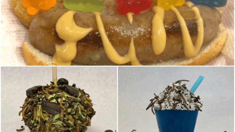 Wisconsin State Fair's new foods include gummy bear brat, edible bugs
