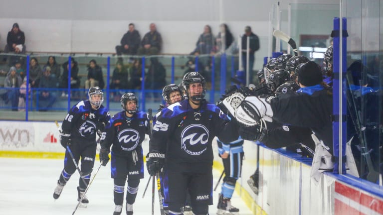 Richfield Ice Arena proposed to become home of Minnesota Whitecaps