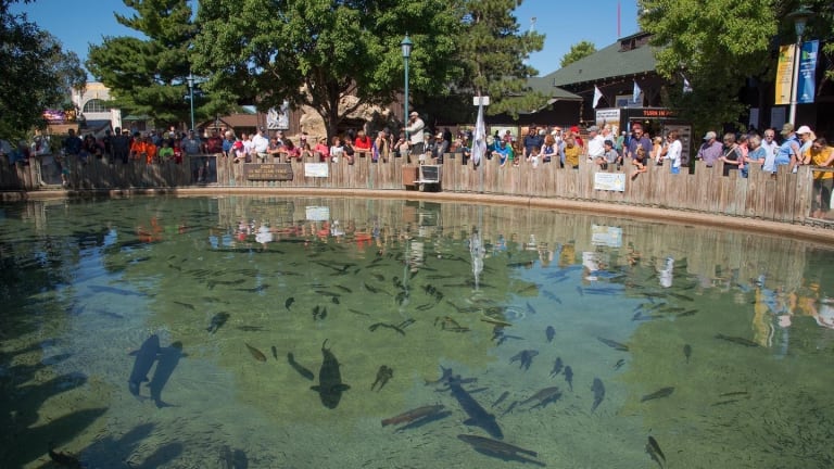 DNR addresses State Fair controversy: Is it the 'fish' or 'fishes' pond?