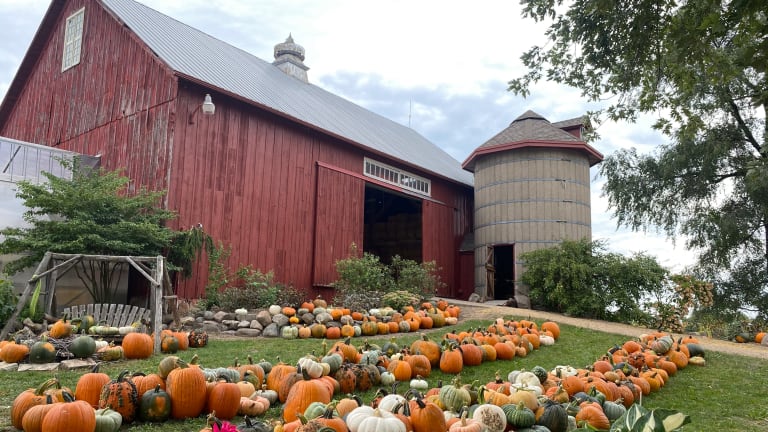 7 Minnesota pumpkin patches to visit this fall