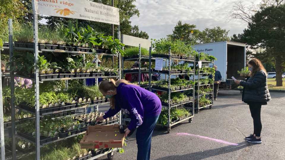 List of 2022 spring plant sales in the Twin Cities