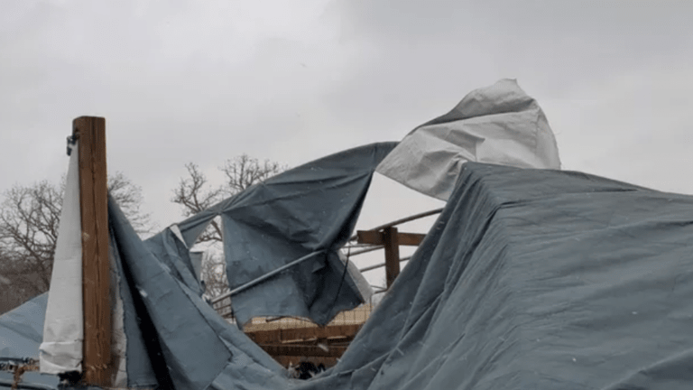 Minnesota families hit by rare December storms: 'It sounded like a freight train was trying to come through our house'