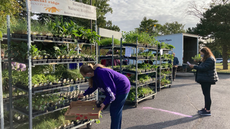 List of 2022 spring plant sales in the Twin Cities