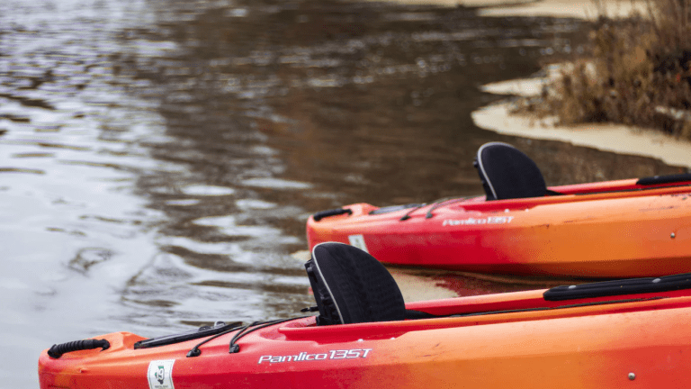 Four kayakers stranded, rescued in Chisholm park
