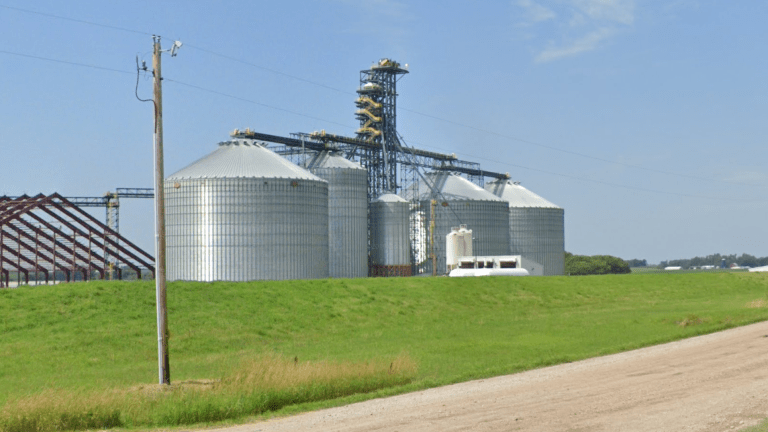 Minnesota man dies after becoming 'fully engulfed' in grain bin