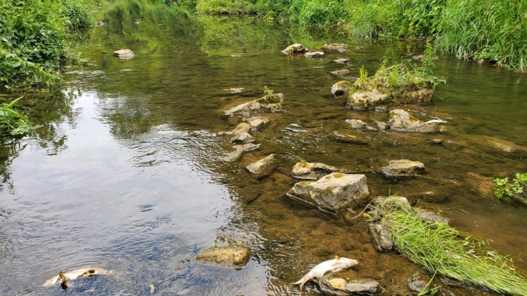 State contacts over 100 landowners in Rush Creek fish kill investigation