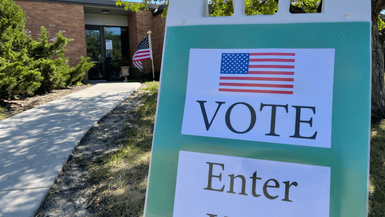 Minnesota primaries