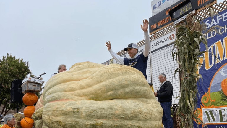 Anoka man sets U.S. record, wins prize with 'rhinoceros-sized' gourd