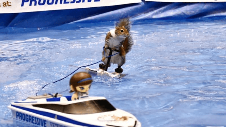 Watch: Water-skiing squirrel goes viral at Mall of America - Bring Me ...