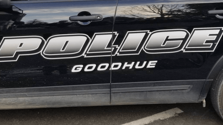 Goodhue police chief, multiple officers resign - Bring Me The News