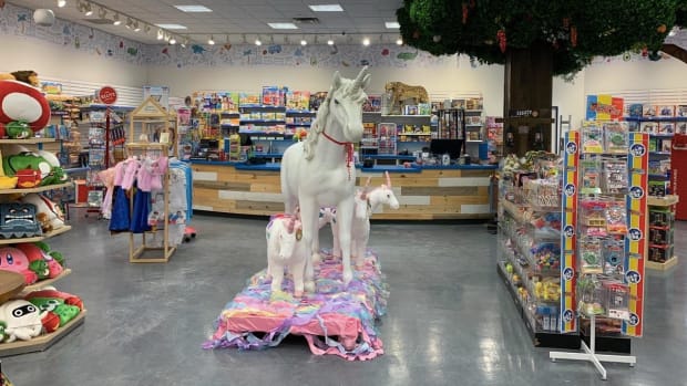 Northern Minnesota toy store chain to open in 2 former Creative