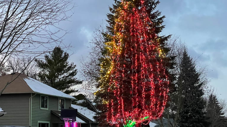 Synchronized christmas tree new arrivals lights